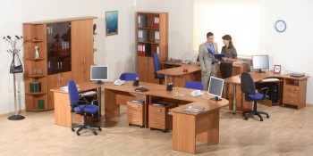 Мебель для персонала Альфа 61 Ольха в Боровом - borovoe.mebel54.com | фото