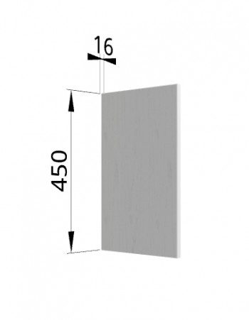Панель торцевая (для шкафа горизонтального высокого) ВПГ Ройс (Графит софт) в Боровом - borovoe.mebel54.com | фото